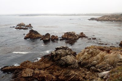 Cannery Point
