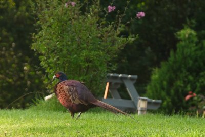 20190911DSCF0758.jpg