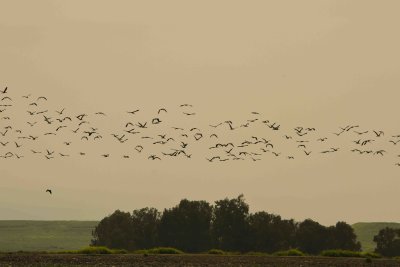 IMG_1899-1.jpg