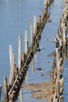 IMG_3534-1.jpg
