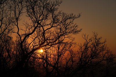 DSCF3091-3.jpg