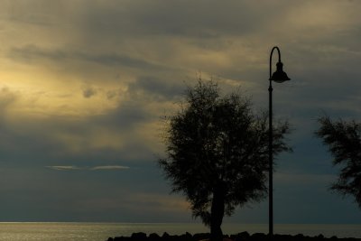 DSCF4451.jpg