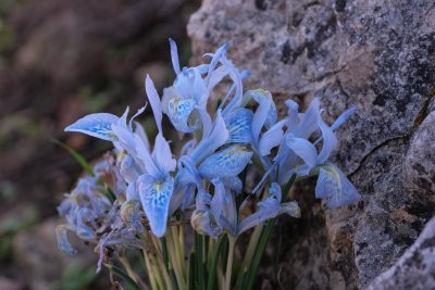 DSCF5410.jpg