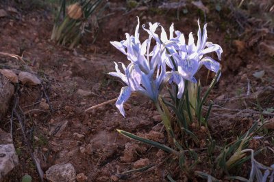 DSCF5413.jpg