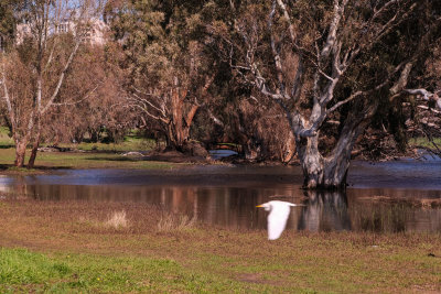 DSCF5900.jpg