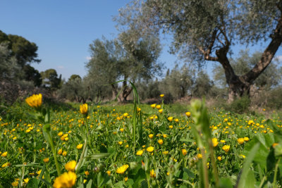 DSCF5481.jpg