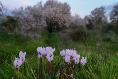 titora-6568.jpg