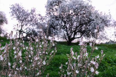titora-6584.jpg