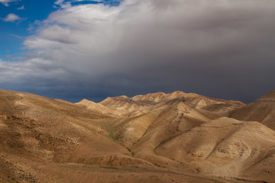 sfar-9339.jpg
