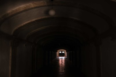 v-8256.jpg