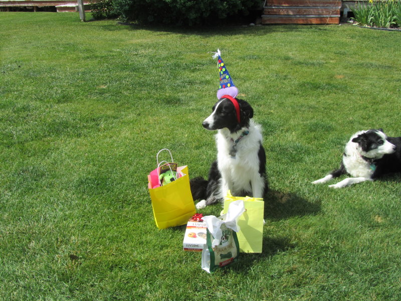 Oakley Birthday 