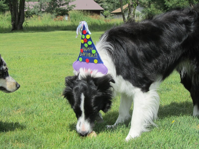 Oakley Birthday 