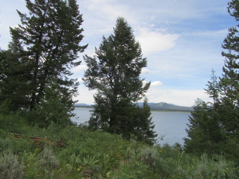Jenny lake