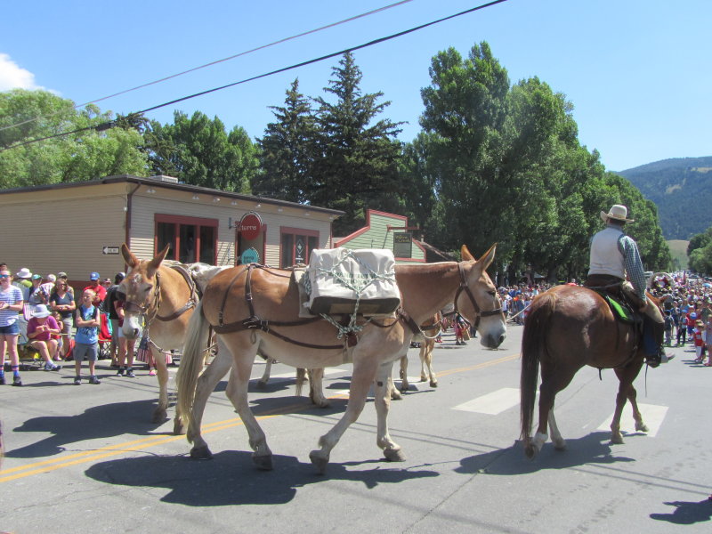 Parade 4th July