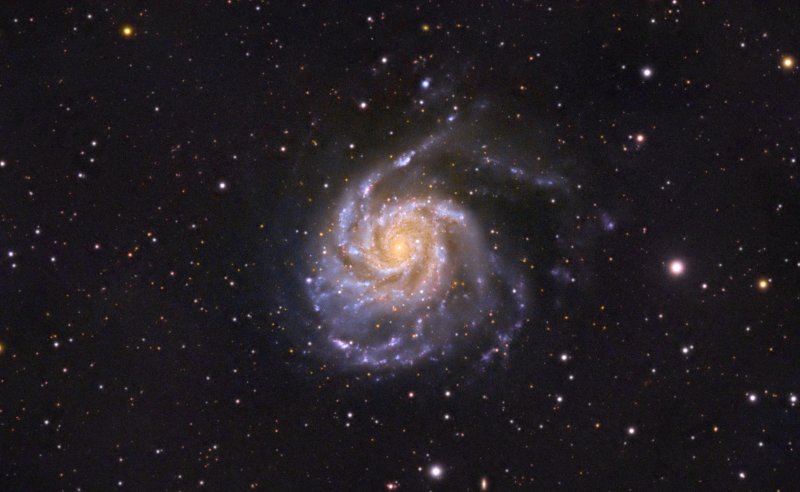M101, Wide field
