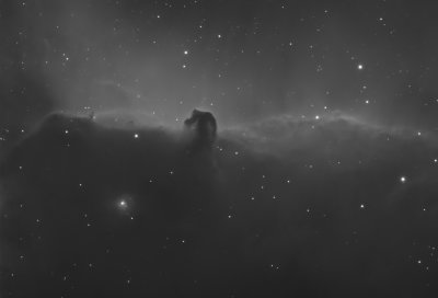 Horsehead nebula (B33)