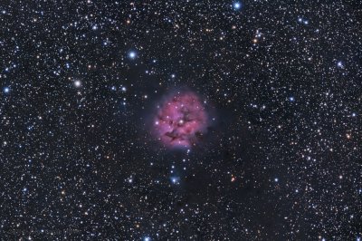 The cocoon nebula in LRGB