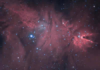 The Cone nebula and the cristmas tree