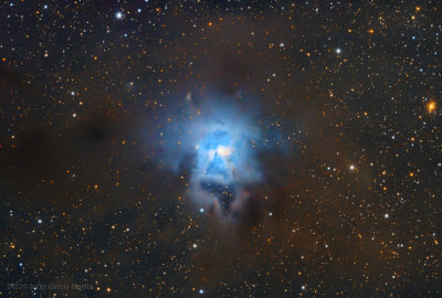 Ngc-7023 the Iris nebula
