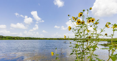 2021 Cannan Bend