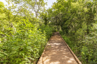 BobcatWoods-0725-37.jpg