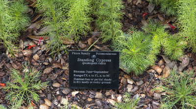 Austin-0530-40.jpg