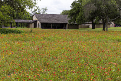 Austin-0531-09.jpg