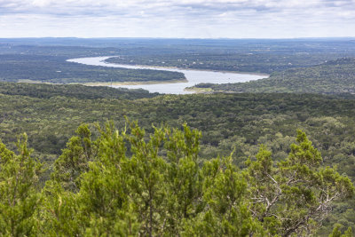 BobcatWoods-0601-17.jpg