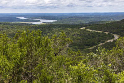 BobcatWoods-0601-18.jpg