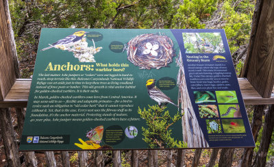 BobcatWoods-0601-20.jpg