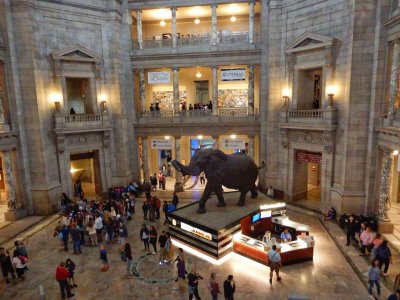The Smithsonian Natural History Museum