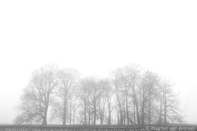Fog