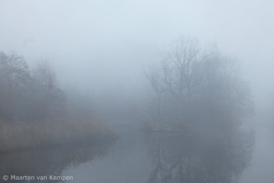 Fog