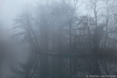 Fog