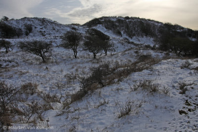 Dunes