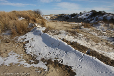 Dunes