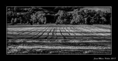 IMG_1319-Edit-5-7.jpg
