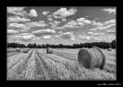 JMH Bretagne-1372-HDR-edit-6-6.jpg