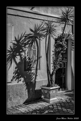 Lisboa-299-edit-19-144.jpg