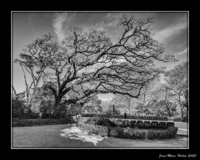 Lisboa-453-edit-35-238.jpg