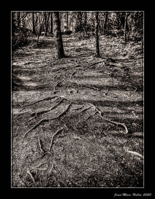 Sidobre-64-edit-38-37.jpg