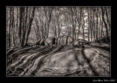 Sidobre-71-edit-43-42.jpg