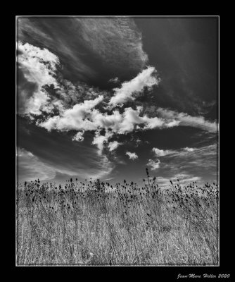 sans titre-27-edit-22-21.jpg