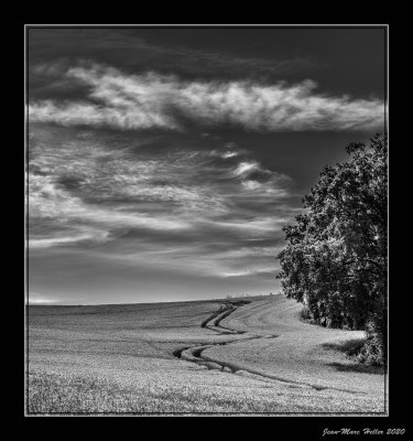 sans titre-31-edit-24-23.jpg