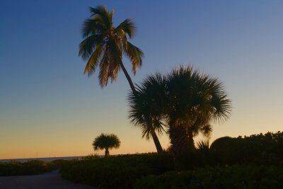 Sanibel Sunset