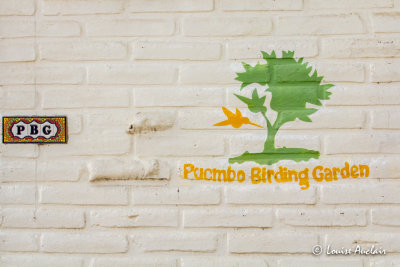 Puembo birding garden