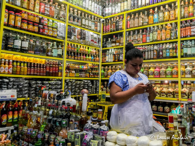 Kiosque de mescal, boisson locale