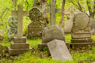 Anglican cemetery