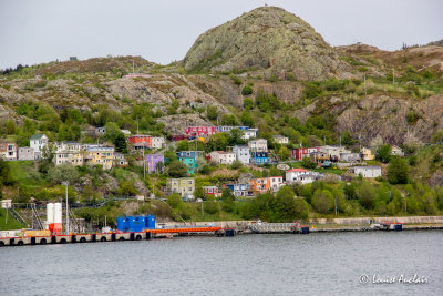 _MG_7819.jpg