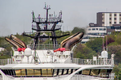 _MG_7837.jpg